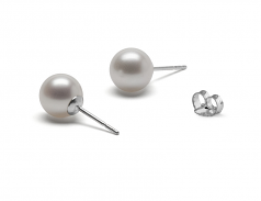 8-8.5mm AAAA Quality Freshwater Cultured Pearl Earring Pair in White