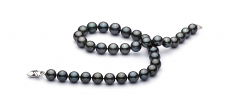 11-13.5mm AA+ Quality Tahitian Cultured Pearl Necklace in Black