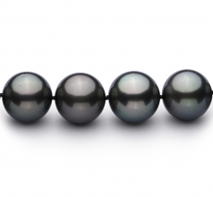 13-15.5mm AAA Quality Tahitian Cultured Pearl Necklace in Black