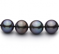 11.1-12.9mm AAA Quality Tahitian Cultured Pearl Necklace in Multicolour