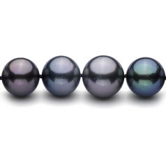 11.1-14.6mm AA+ Quality Tahitian Cultured Pearl Necklace in Multicolour