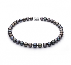 11.1-13.5mm AA+ Quality Tahitian Cultured Pearl Necklace in Multicolour