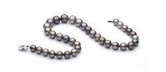 11-14.6mm AAA Quality Tahitian Cultured Pearl Necklace in Multicolour