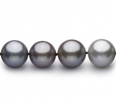 11-14.6mm AAA Quality Tahitian Cultured Pearl Necklace in Multicolour