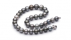 9.2-13.9mm AA+ Quality Tahitian Cultured Pearl Necklace in Multicolour