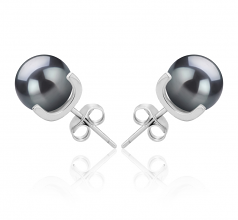 7-8mm AAAA Quality Freshwater Cultured Pearl Earring Pair in Britt Black