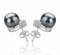 8-9mm AAAA Quality Freshwater Cultured Pearl Earring Pair in Evelyn Black