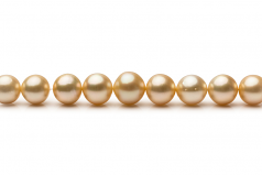 10.1-14.6mm AA Quality South Sea Cultured Pearl Necklace in 18-inch Gold