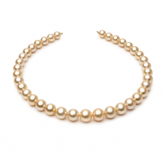 9.6-12.6mm AA+ Quality South Sea Cultured Pearl Necklace in 18-inch Gold