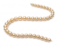 9.6-12.6mm AA+ Quality South Sea Cultured Pearl Necklace in 18-inch Gold