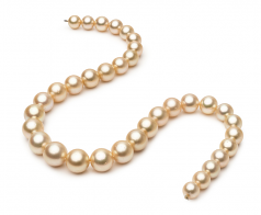 9.3-13.3mm AA Quality South Sea Cultured Pearl Necklace in 18-inch Gold