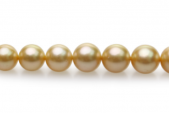9-11.4mm AA Quality South Sea Cultured Pearl Necklace in 18-inch Gold
