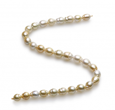 10.4-13mm Baroque Quality South Sea Cultured Pearl Necklace in 18-inch Multicolour