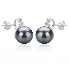 10-11mm AAA Quality Tahitian Cultured Pearl Earring Pair in Hailey Black