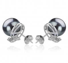 10-11mm AAA Quality Tahitian Cultured Pearl Earring Pair in Berry Black
