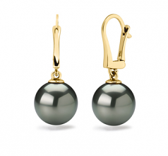 10-11mm AAA Quality Tahitian Cultured Pearl Earring Pair in Elements Black