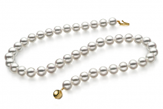 8.5-9mm Hanadama - AAAA Quality Japanese Akoya Cultured Pearl Necklace in Hanadama 16-inch White