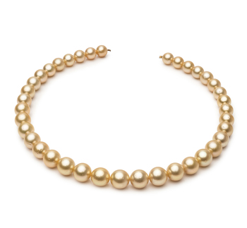 9.5-11.9mm AA Quality South Sea Cultured Pearl Necklace in 18-inch Gold 9.5-11.9mm AA Quality South Sea Cultured Pearl Necklace in 18-inch Gold