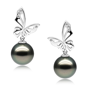 10-11mm AAA Quality Tahitian Cultured Pearl Earring Pair in Butterfly Black 10-11mm AAA Quality Tahitian Cultured Pearl Earring Pair in Butterfly Black
