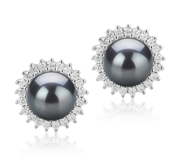 7-8mm AAAA Quality Freshwater Cultured Pearl Earring Pair in Dreama Black 7-8mm AAAA Quality Freshwater Cultured Pearl Earring Pair in Dreama Black