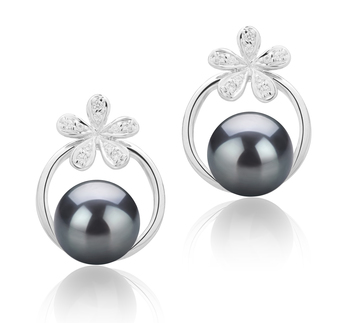 7-8mm AAAA Quality Freshwater Cultured Pearl Earring Pair in Molly Black 7-8mm AAAA Quality Freshwater Cultured Pearl Earring Pair in Molly Black