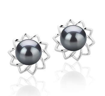 7-8mm AAAA Quality Freshwater Cultured Pearl Earring Pair in Morgan Black 7-8mm AAAA Quality Freshwater Cultured Pearl Earring Pair in Morgan Black