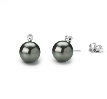 7.5-8mm AAAA Quality Freshwater Cultured Pearl Earring Pair in Black 7.5-8mm AAAA Quality Freshwater Cultured Pearl Earring Pair in Black
