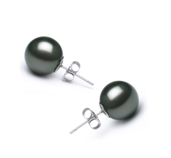 10-11mm AA Quality Tahitian Cultured Pearl Earring Pair in Black 10-11mm AA Quality Tahitian Cultured Pearl Earring Pair in Black