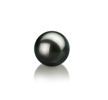 8-9mm AA Quality Japanese Akoya Loose Pearl in Black 8-9mm AA Quality Japanese Akoya Loose Pearl in Black