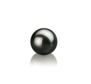 7-8mm AA Quality Japanese Akoya Loose Pearl in Black 7-8mm AA Quality Japanese Akoya Loose Pearl in Black