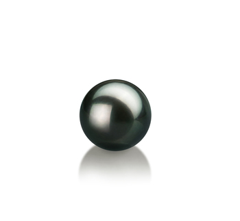 7-8mm AAA Quality Japanese Akoya Loose Pearl in Black 7-8mm AAA Quality Japanese Akoya Loose Pearl in Black