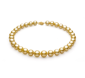 11.5-15.2mm AAA+ Quality South Sea Cultured Pearl Necklace in Gold 11.5-15.2mm AAA+ Quality South Sea Cultured Pearl Necklace in Gold