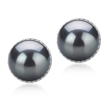 10-11mm AAA Quality Tahitian Cultured Pearl Earring Pair in Tammy Black 10-11mm AAA Quality Tahitian Cultured Pearl Earring Pair in Tammy Black