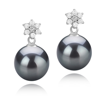 8-9mm AAAA Quality Freshwater Cultured Pearl Earring Pair in Wilma Black 8-9mm AAAA Quality Freshwater Cultured Pearl Earring Pair in Wilma Black