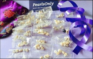 PearlsOnly 'Pearls in School' sample 2